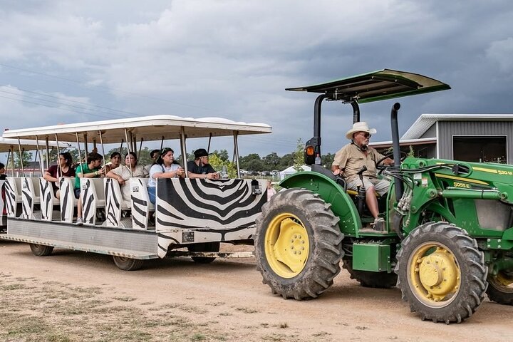 Fredericksburg Safari Tour With Wine Tasting