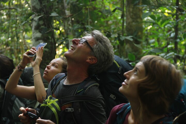 5-Day Madidi & Pampas Amazon Tour from Rurrenabaque