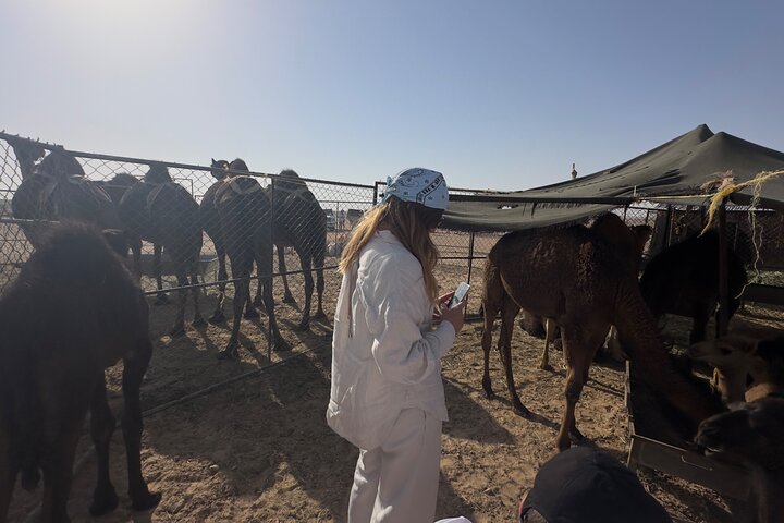 Sunset desert safari tour (private tour)