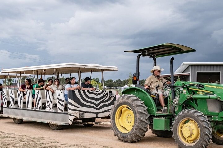 Fredericksburg Safari Tour Without Wine Tasting