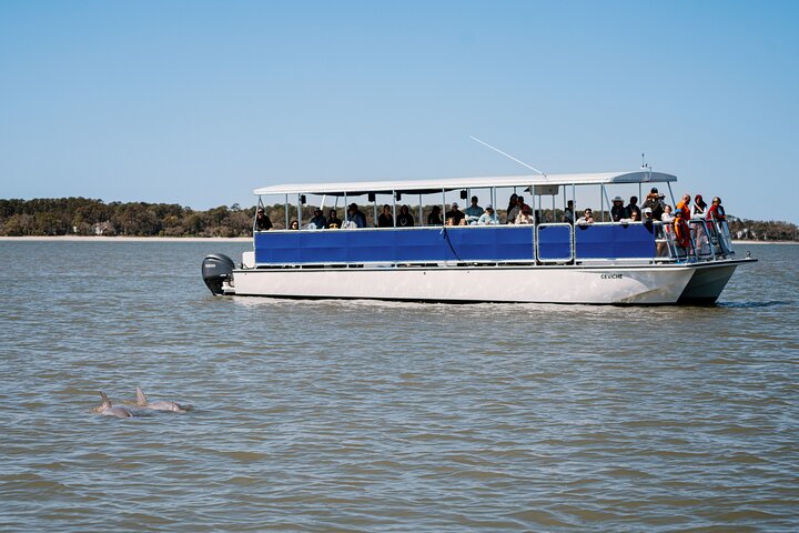 Hilton Head Island Dolphin Boat Cruise