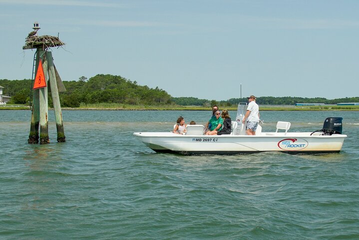 75 Minute Private Party Back Bay Sunset Cruise in Ocean City, MD