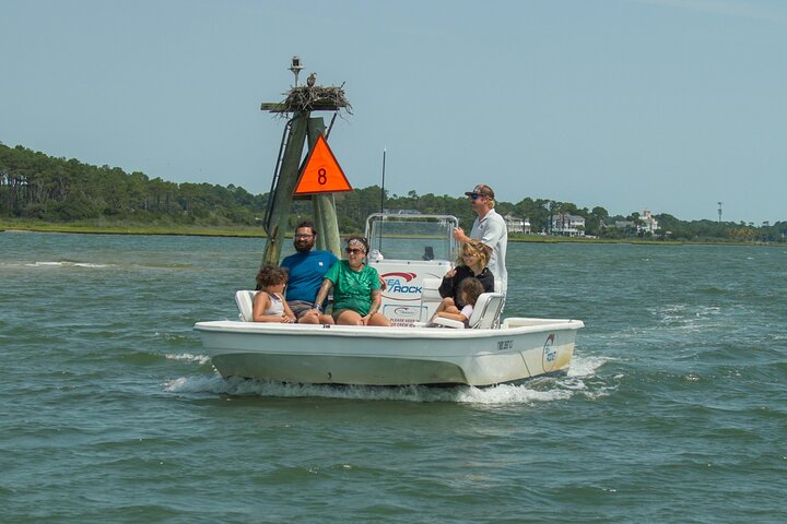 1-Hour Private Party Assateague Island Pony Cruise in Ocean City