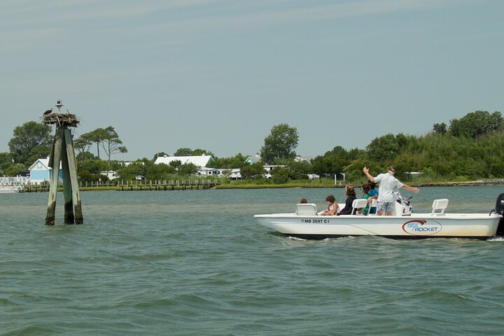 1-Hour Private Party Assateague Island Pony Cruise in Ocean City
