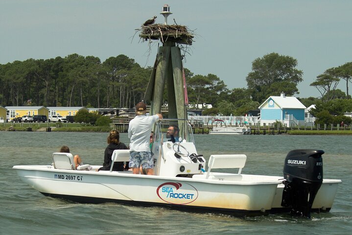 1-Hour Private Party Assateague Island Pony Cruise in Ocean City