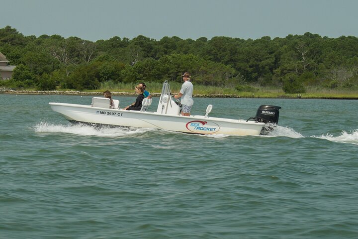 75 Minute Private Party Back Bay Sunset Cruise in Ocean City, MD