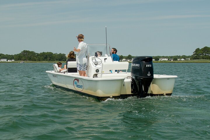 1-Hour Private Party Assateague Island Pony Cruise in Ocean City