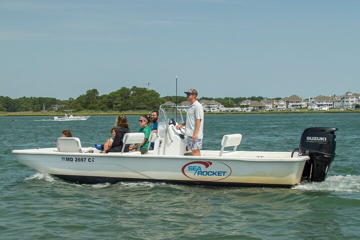 1-Hour Private Party Assateague Island Pony Cruise in Ocean City