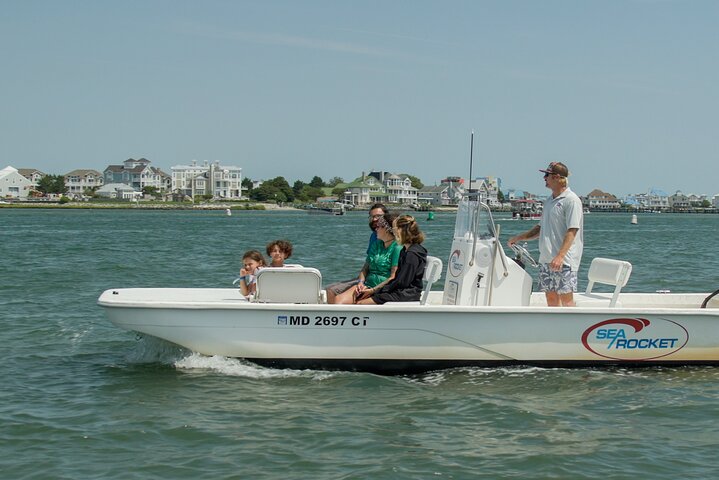 75 Minute Private Party Back Bay Sunset Cruise in Ocean City, MD