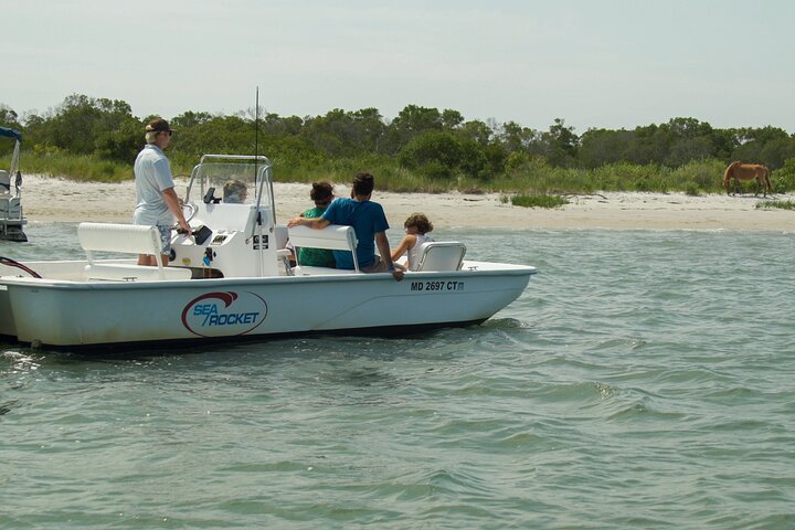 75 Minute Private Party Back Bay Sunset Cruise in Ocean City, MD
