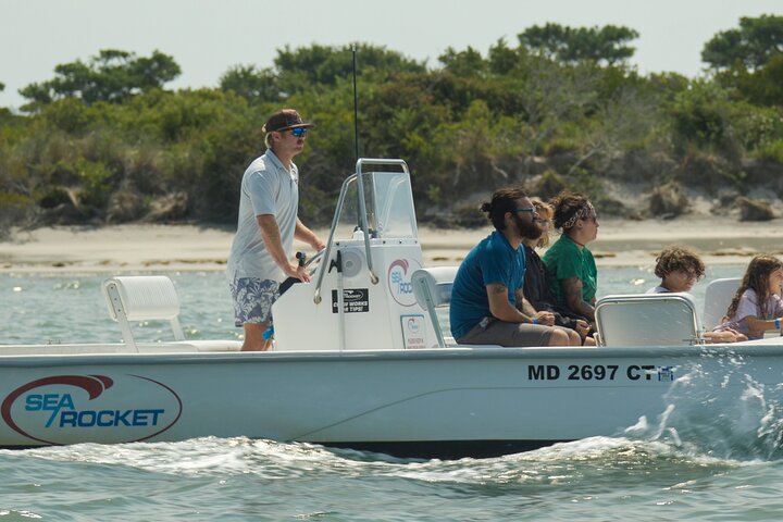 1-Hour Private Party Assateague Island Pony Cruise in Ocean City