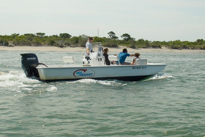 1-Hour Private Party Assateague Island Pony Cruise in Ocean City