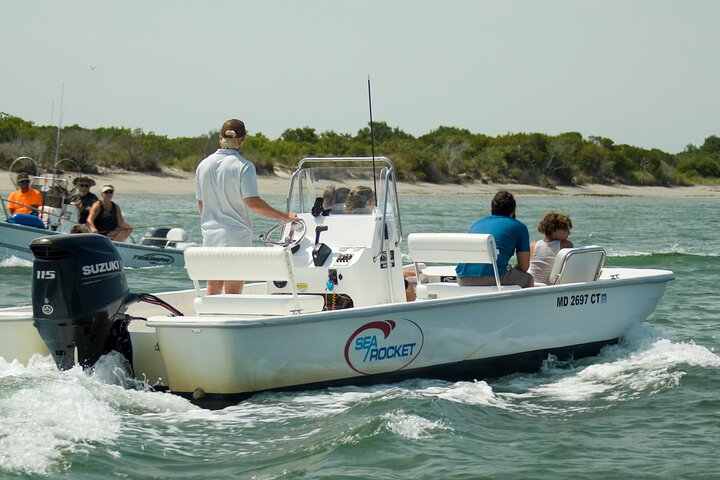 75 Minute Private Party Back Bay Sunset Cruise in Ocean City, MD