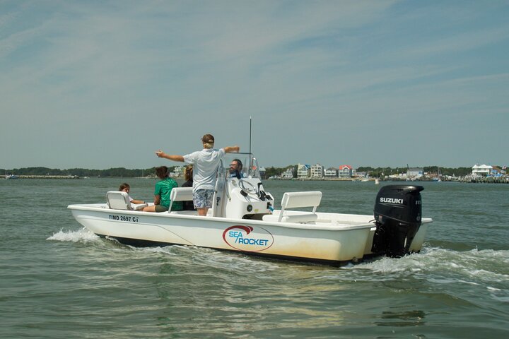 1-Hour Private Party Assateague Island Pony Cruise in Ocean City