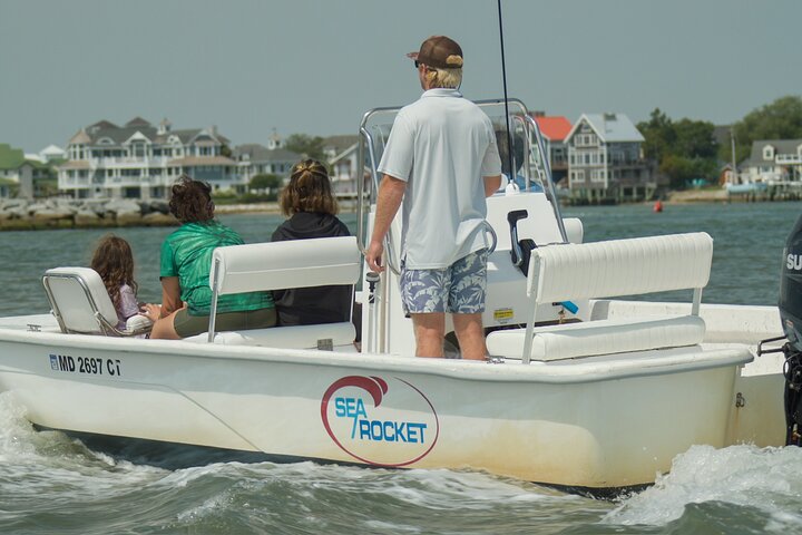 1-Hour Private Party Assateague Island Pony Cruise in Ocean City