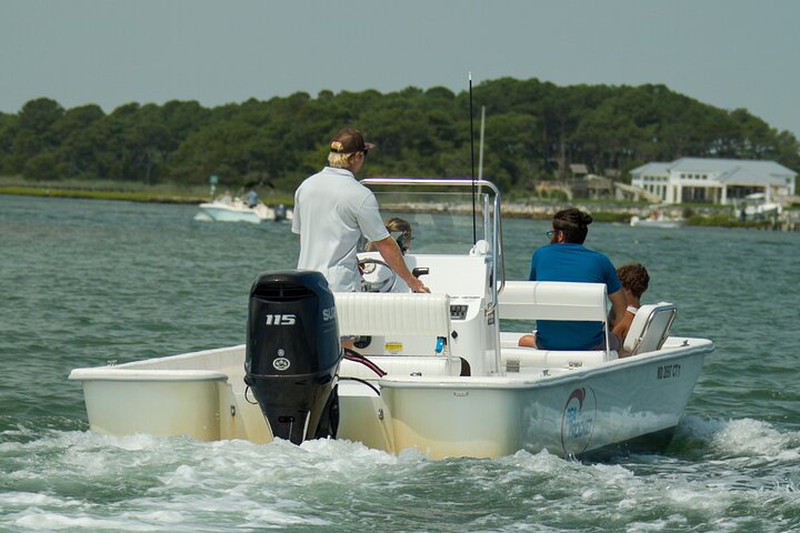 1-Hour Private Party Assateague Island Pony Cruise in Ocean City