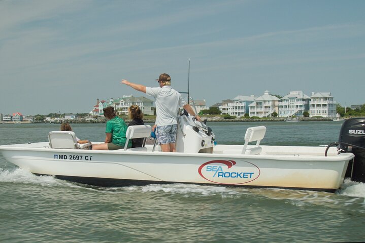 1-Hour Private Party Assateague Island Pony Cruise in Ocean City