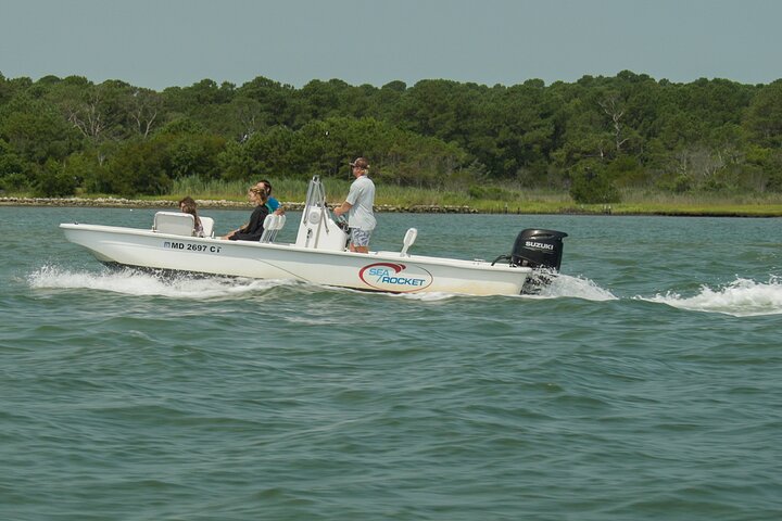 1-Hour Private Party Assateague Island Pony Cruise in Ocean City