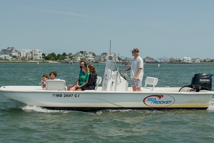 1-Hour Private Party Assateague Island Pony Cruise in Ocean City