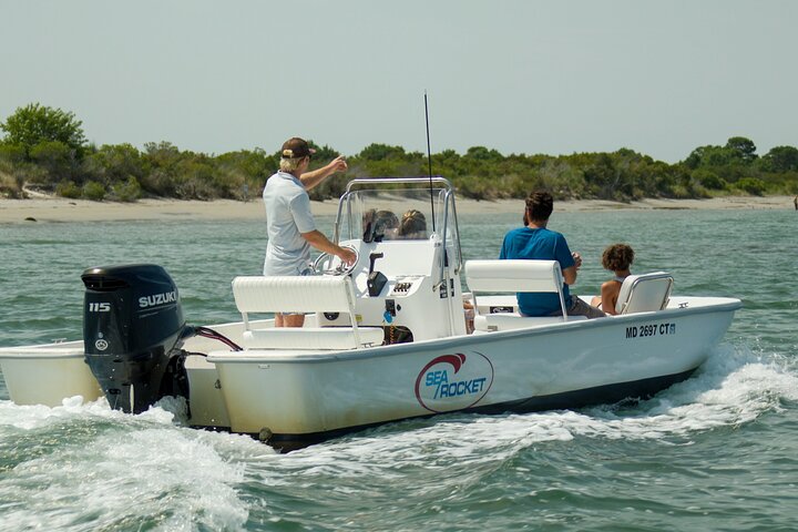 1-Hour Private Party Assateague Island Pony Cruise in Ocean City