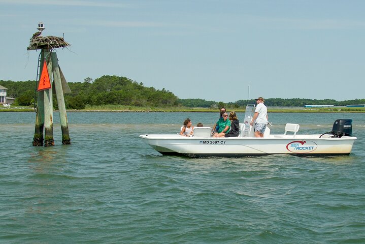 1-Hour Private Party Assateague Island Pony Cruise in Ocean City