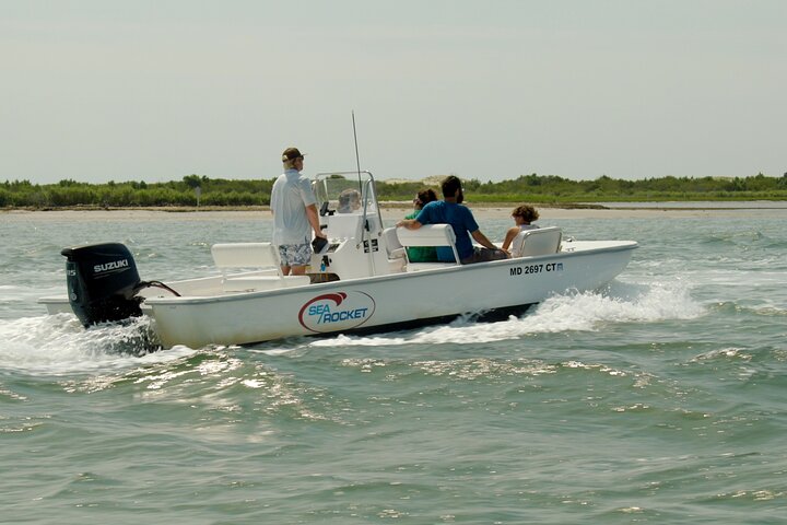 1-Hour Private Party Assateague Island Pony Cruise in Ocean City