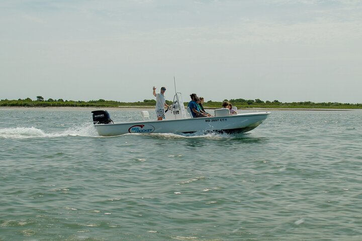 1-Hour Private Party Assateague Island Pony Cruise in Ocean City