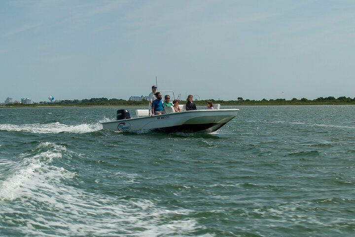 1-Hour Private Party Assateague Island Pony Cruise in Ocean City