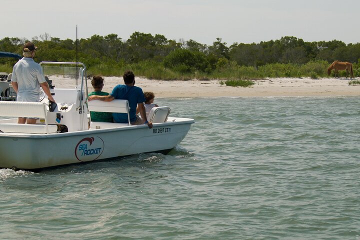 1-Hour Private Party Assateague Island Pony Cruise in Ocean City