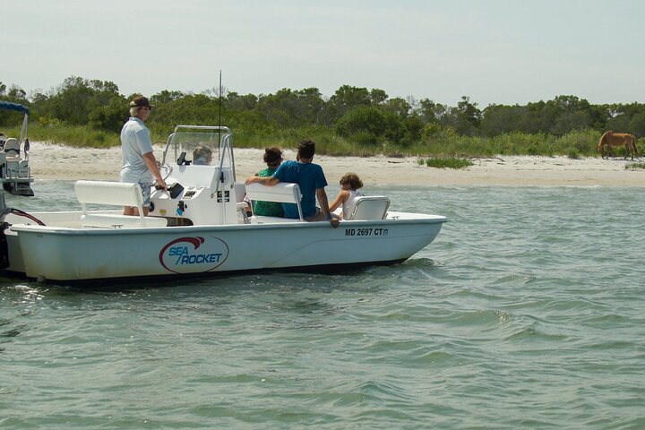 1-Hour Private Party Assateague Island Pony Cruise in Ocean City