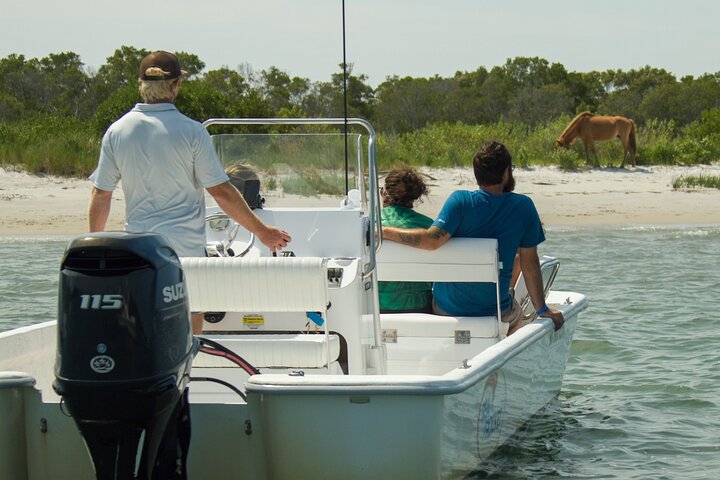 1-Hour Private Party Assateague Island Pony Cruise in Ocean City