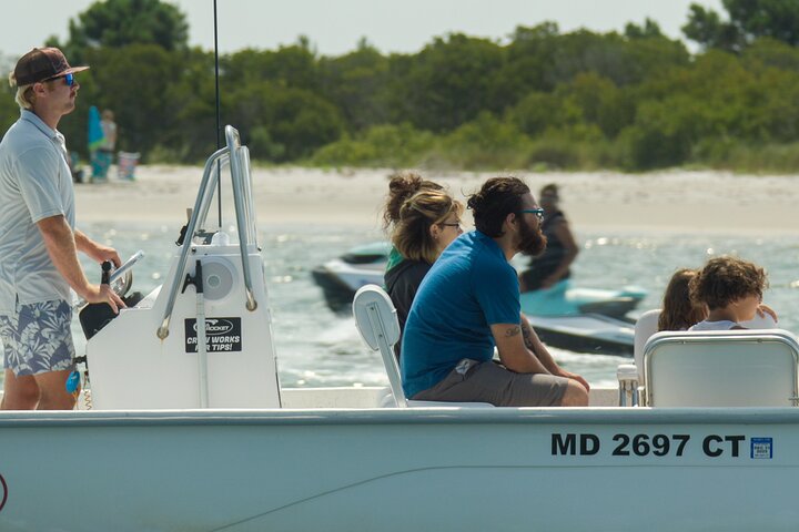 1-Hour Private Party Assateague Island Pony Cruise in Ocean City