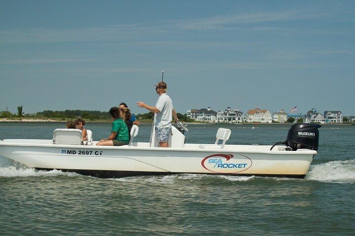 1-Hour Private Party Assateague Island Pony Cruise in Ocean City