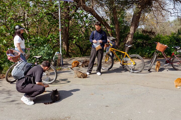 Istanbul Princes' Islands Cycling Tour