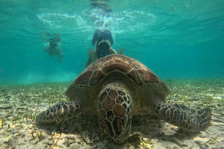 Private Snorkeling Tour of Gili Islands in Air Meno and Trawangan