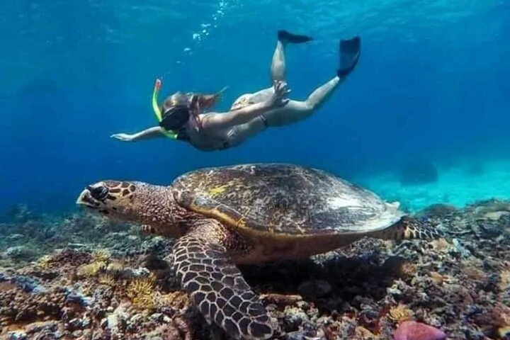 Private Snorkeling Tour of Gili Islands in Air Meno and Trawangan
