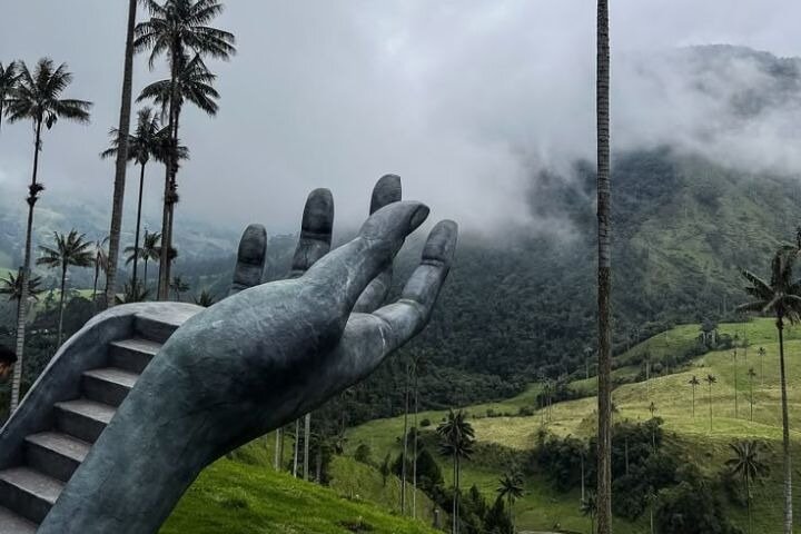 Cocora Valley Shared Tour from Salento