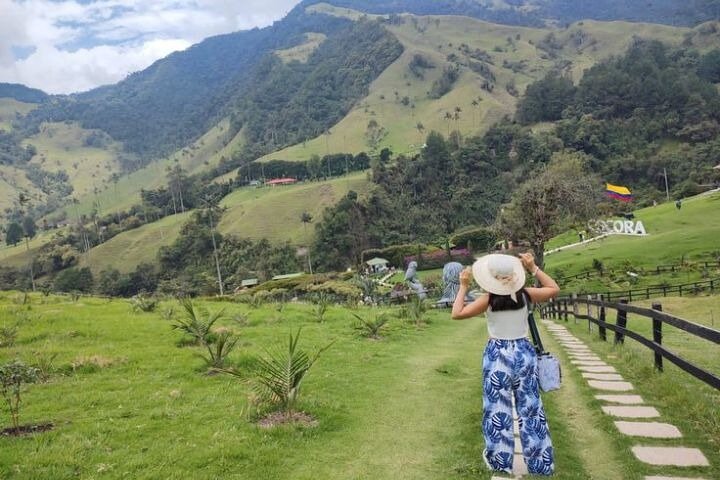 Cocora Valley Shared Tour from Salento