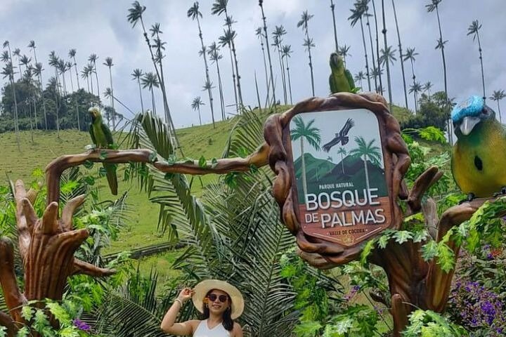 Cocora Valley Shared Tour from Salento