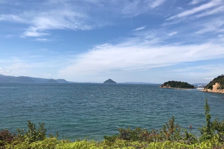 Naoshima Full Day Private Car Tour from Uno