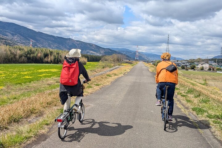 Wakimachi Indigo Cycling Tour