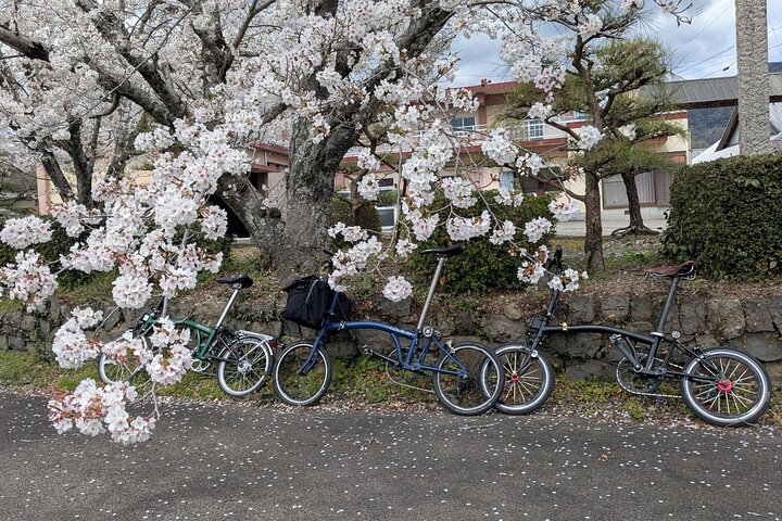 Wakimachi Indigo Cycling Tour