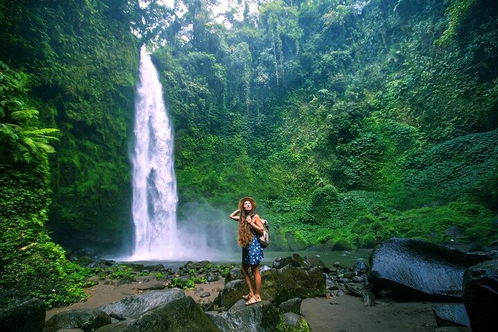 Ubud Private Tour: Waterfalls, Temple and Rice Terraces Swing