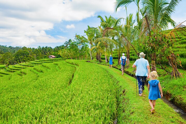 Ubud Private Tour: Waterfalls, Temple and Rice Terraces Swing