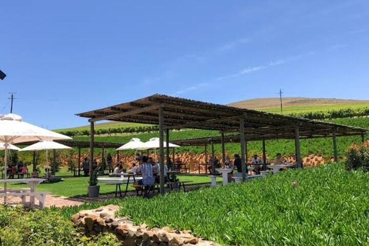 Stellenbosch, Franschhoek, Paarl 15 Wine Tasting Private Tour