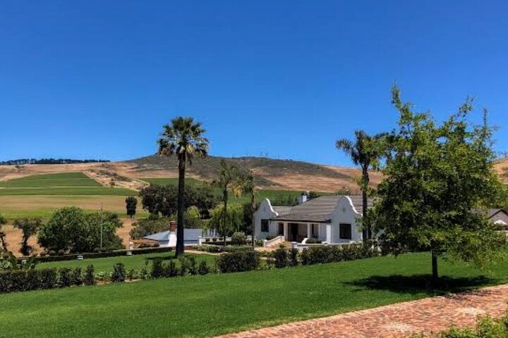Stellenbosch, Franschhoek, Paarl 15 Wine Tasting Private Tour