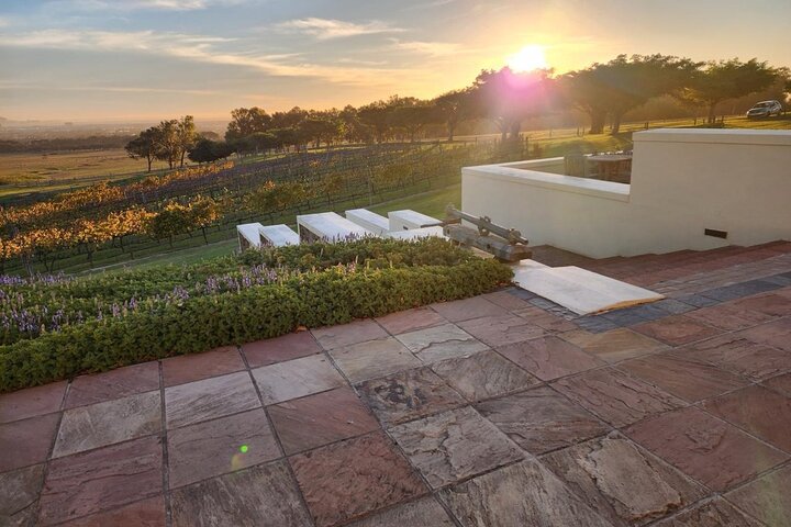 Stellenbosch, Franschhoek, Paarl 15 Wine Tasting Private Tour
