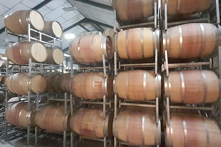 Stellenbosch, Franschhoek, Paarl 15 Wine Tasting Private Tour