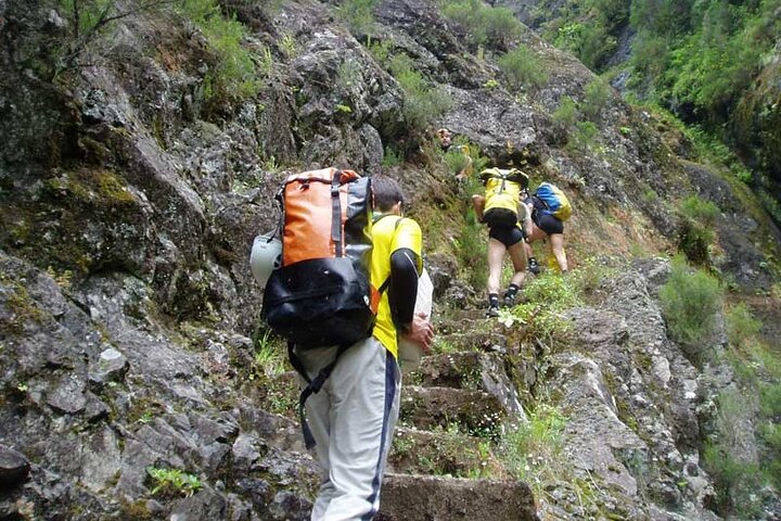 Madeira Queimadas Caldeirão Verde