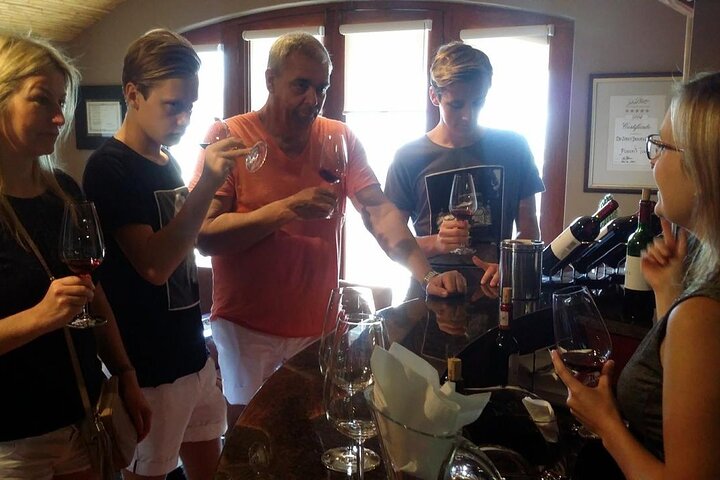 Stellenbosch, Franschhoek, Paarl 15 Wine Tasting Private Tour